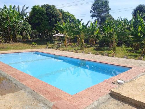una grande piscina blu di fronte a un giardino di THE PLANTAINS PLACE a Karatina