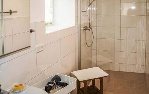 a bathroom with a shower and a sink and a stool at Gorgeous Apartment In Ribnitz-damgarten With Wifi in Ribnitz-Damgarten