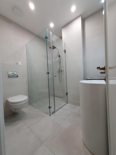 Un baño con ducha de cristal y un inodoro. en Old City Apartment, en Tiflis