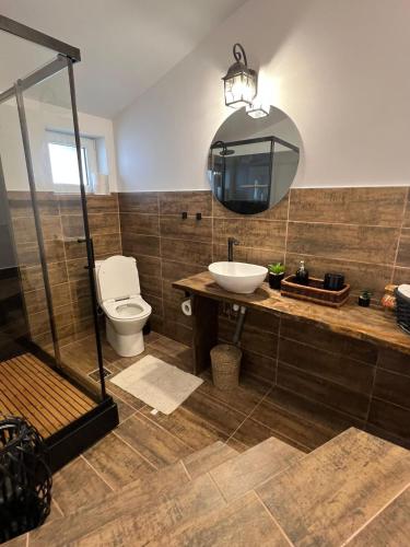 a bathroom with a toilet and a sink and a mirror at Casa de vacanta traditionala romaneasca in Schiuleşti