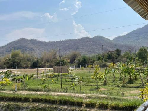 a field of plants with mountains in the background at คูณ-เนื่อง ฟาร์ม สเตย์ หัวหิน Koon & Nueang Farm Stay Hua Hin in Ban Bo Fai