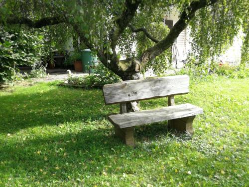 a wooden bench sitting in the grass under a tree at Studio Apartment Erlengrund in Bad Kohlgrub