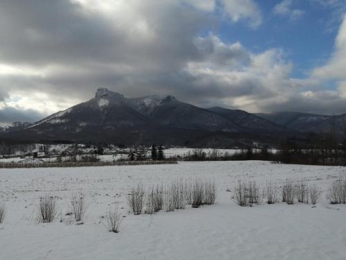 a snow covered field with a mountain in the background at Studio apartman CENTAR in Ogulin