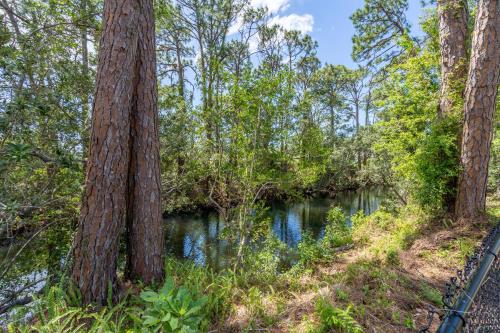 a river in the middle of a forest with trees at La Niña Nokomis Beach & Venice Island Fenced In Yard in Nokomis