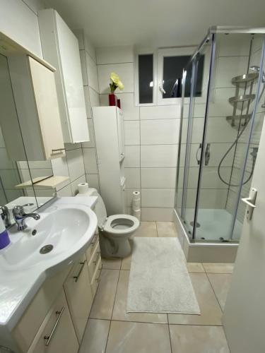 La salle de bains est pourvue de toilettes, d'un lavabo et d'une douche. dans l'établissement Appartement Deux chambres près de Atomium, à Bruxelles