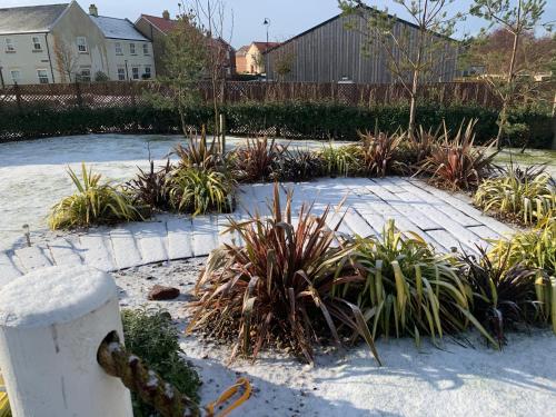 a garden with a bunch of plants on a sidewalk at Boardwalk@TheBay, Filey in Filey