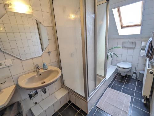 a bathroom with a shower and a sink and a toilet at Ferienwohnung Madenburgblick in Eschbach