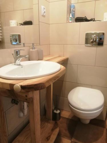 La salle de bains est pourvue d'un lavabo et de toilettes. dans l'établissement Noclegi Na Smaguli, à Korbielów