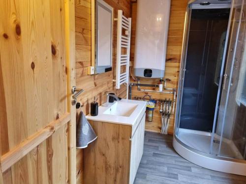 een badkamer met een wastafel en een douche bij Cabane pilotis sur étang, au lac de Chaumeçon in Saint-Martin-du-Puy