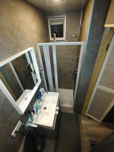 een badkamer met een wastafel en een spiegel bij Tuinhuisje in het groen in Almere