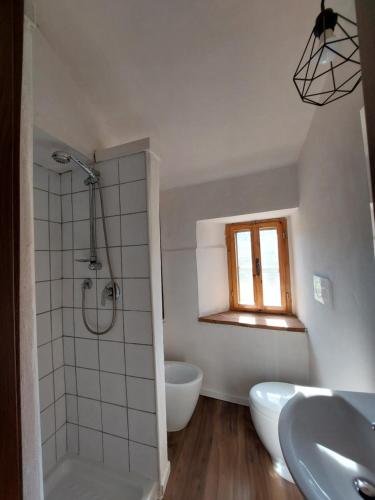 La salle de bains est pourvue d'une douche et d'un lavabo. dans l'établissement Bruni Apartments Arcidosso - Ginevra, à Arcidosso