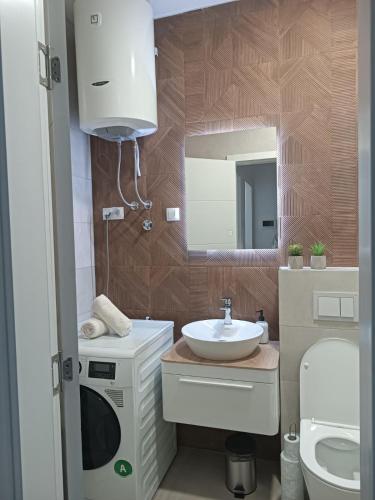 ein Badezimmer mit einem Waschbecken und einer Waschmaschine in der Unterkunft Apartman Vista Banja Luka in Banja Luka