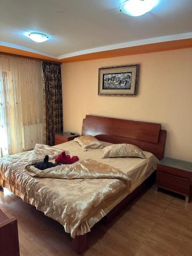 una camera da letto con un letto con un gatto nero steso sopra di Apartament CASA ALEXIA a Botoşani