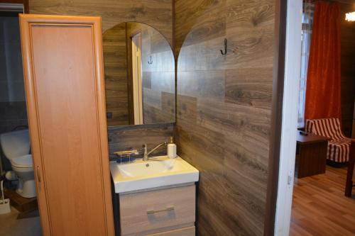 uma casa de banho com um lavatório e um espelho em Veteranu 5 Visaginas em Visaginas