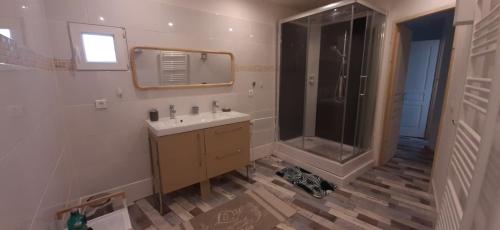 ein Bad mit einem Waschbecken, einer Dusche und einem Spiegel in der Unterkunft Les chambres du Val d'Eyden 