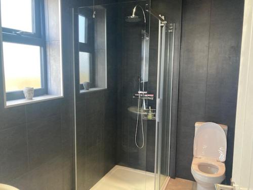 a bathroom with a shower with a toilet and a sink at The Salt Box- Lovely refurbished annexe, free parking, walk to Porth beach. in Saint Columb Minor