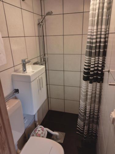 La salle de bains est pourvue de toilettes, d'un lavabo et d'une douche. dans l'établissement Tegelvägen B, à Nättrabyhamn