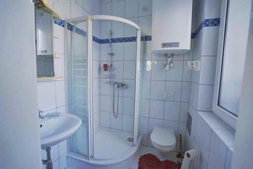 uma casa de banho com um chuveiro, um WC e um lavatório. em Studio im Bezirk Lend em Graz