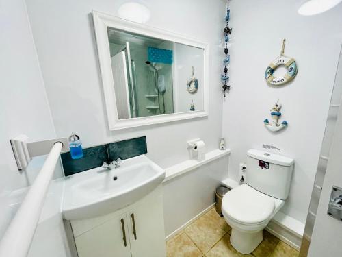 a bathroom with a toilet and a sink and a mirror at Lucy Lou, charming holiday bungalow in Devon in Galmpton-on-the-Dart