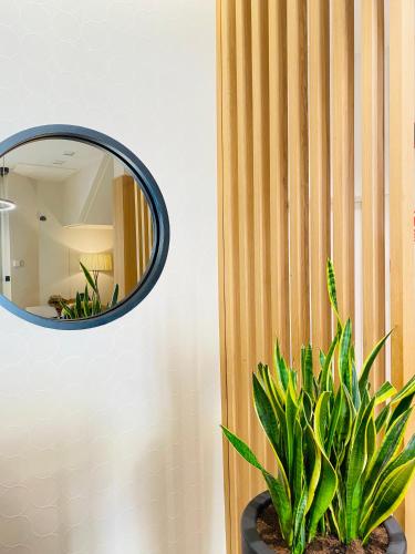 a mirror on a wall next to a potted plant at Hotel Oria in Tolosa