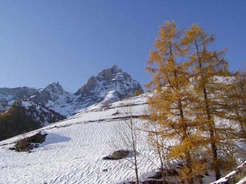a snow covered hill with a tree and a mountain at Anemone Tano di Grich in Cesani