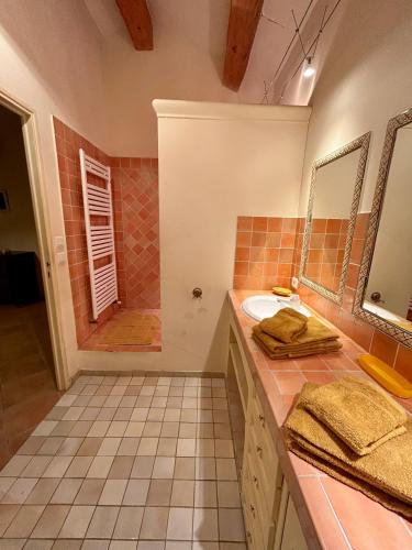 une salle de bain avec un lavabo et une douche dans l'établissement Château du Grand Jas, à Entrecasteaux