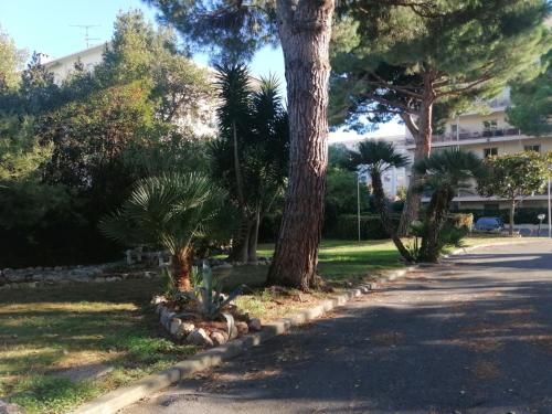 Résidence Côte d'Azur Cannes photo 56