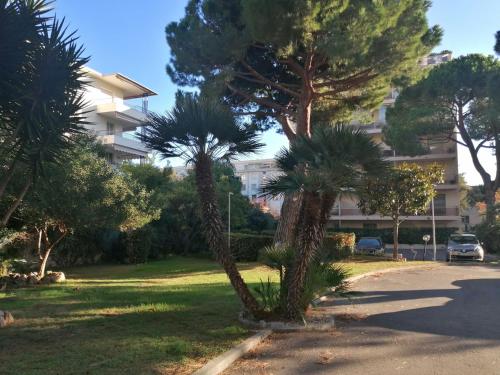 Résidence Côte d'Azur Cannes photo 55