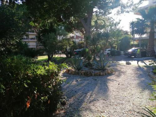 Résidence Côte d'Azur Cannes photo 49
