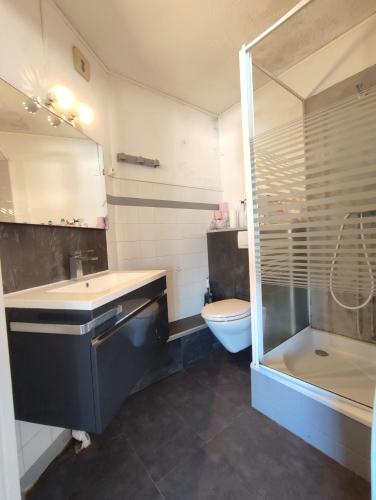 une salle de bain avec un lavabo, des toilettes et une douche dans l'établissement SOPRALAND Joli T2 piscine proche plage Richelieu Cap d'Agde, au Cap d'Agde