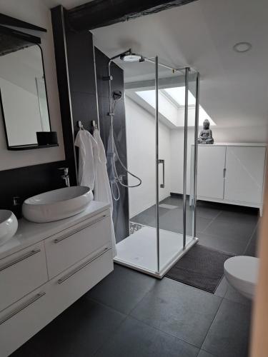 y baño con ducha acristalada y lavamanos. en GAMSI Apartment - in private house with free parking, en Liubliana
