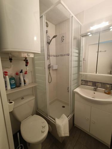 une salle de bain avec une douche, des toilettes et un lavabo dans l'établissement T2 vue Mer - St Pierre la Mer 2PLM67, à Saint Pierre La Mer