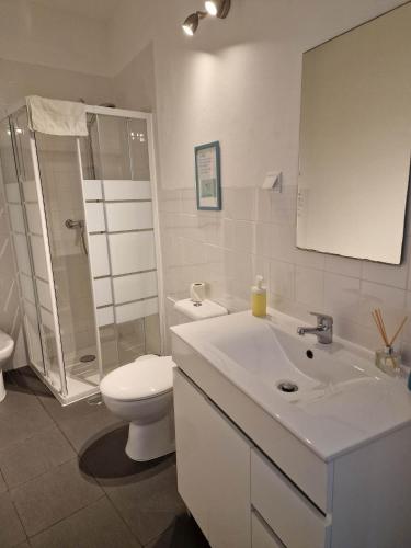 a bathroom with a toilet and a sink and a shower at The Aqueduct Guesthouse in Évora