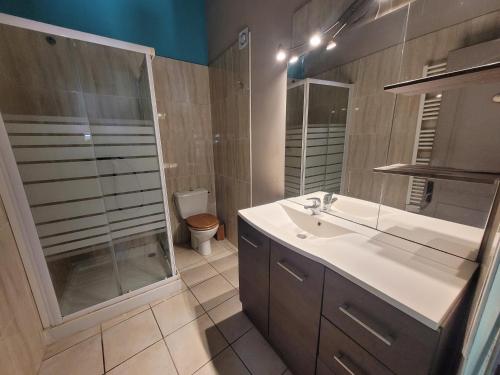 a bathroom with a sink and a shower and a toilet at Le Rempart in Saint-Mitre-les-Remparts