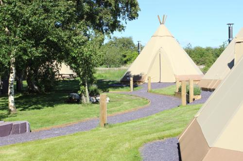 a group of tents in a field with trees at GreenWood Family Park in Y Felinheli