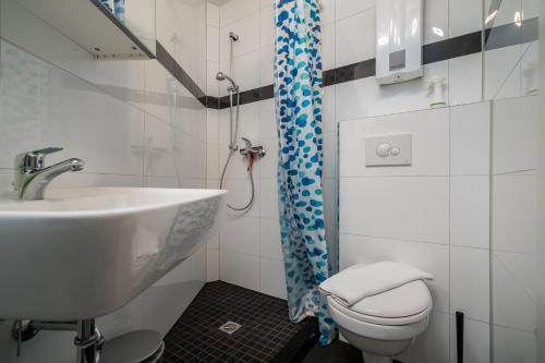 a bathroom with a sink and a toilet and a shower at Ferienhaus Sternchen 3 in Schwarz
