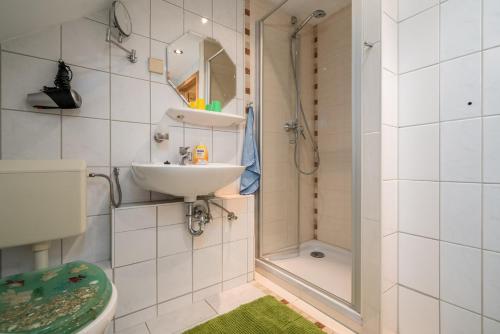 a bathroom with a sink and a shower at Ferienwohnung Seebusch in Schwarz