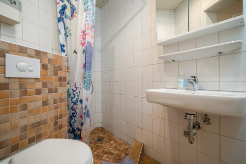 a bathroom with a toilet and a sink at Ferienhaus Sternchen 2 in Schwarz