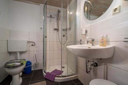 a bathroom with a shower and a sink and a toilet at Ferienhaus Gerdi in Schwarz