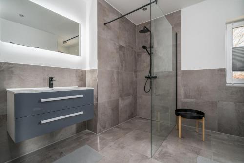 un baño con lavabo y ducha en Ferienhaus Schilfblick, en Buchholz