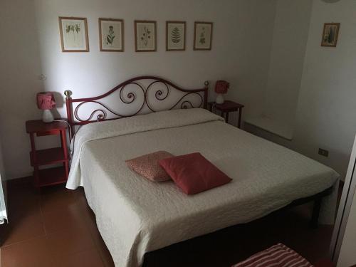 Un dormitorio con una cama con una almohada roja. en Ca da Lalla en Carro