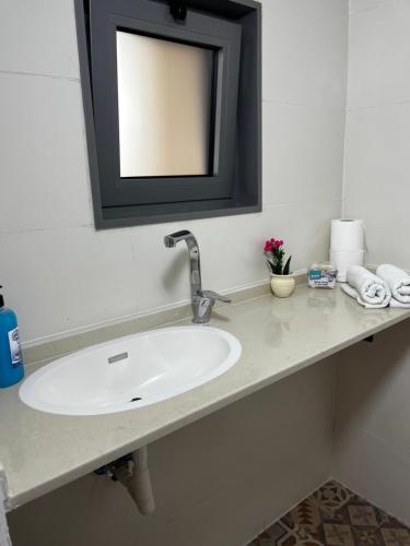eine Badezimmertheke mit einem Waschbecken und einem Spiegel in der Unterkunft The Garden House in Bethlehem