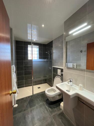łazienka z toaletą i umywalką w obiekcie Hôtel Restaurant Prunières w mieście Aumont-Aubrac