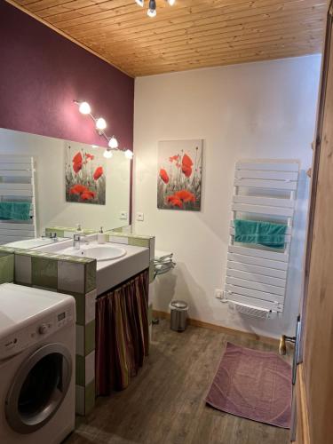 ein Badezimmer mit einer Waschmaschine und einem Waschbecken in der Unterkunft Gite du Facteur in Lens-Lestang