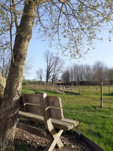 a wooden bench sitting next to a tree at Sheepinn hoekje in Tielt