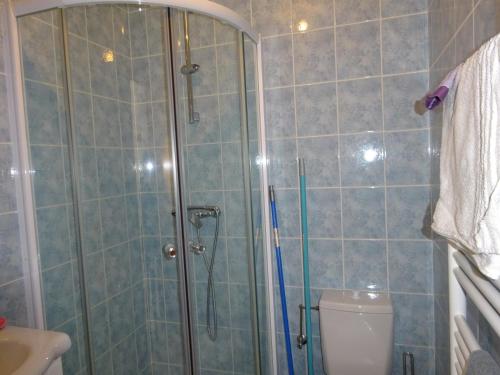 une salle de bain avec douche et toilettes dans l'établissement Lac et Montagne, à Faverges