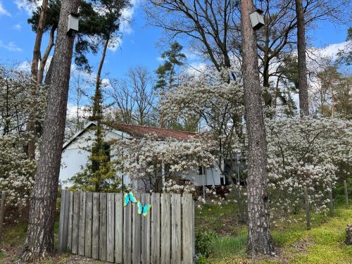 a house behind a fence with flowering trees at Ruime Chalet i/h bos met grote tuin en zwembad in Enschede