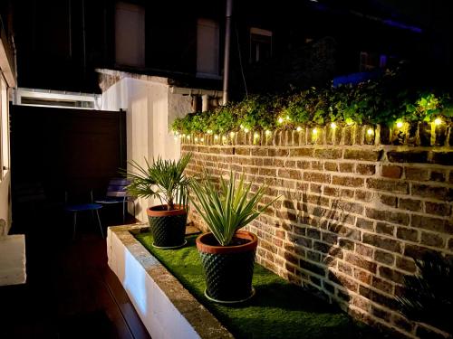 a brick wall with three potted plants and lights at Soleil levant - T2 avec terrasse proche Gare in Amiens
