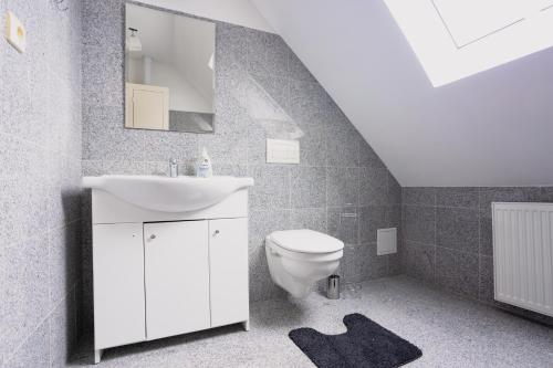 a bathroom with a white sink and a toilet at Apartments in the historic part of Znojmo in Znojmo