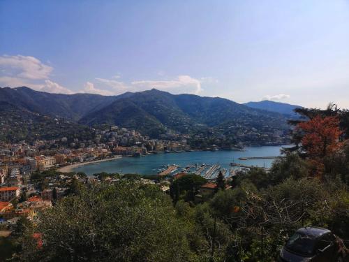 a view of a river with boats in a city at Sunrise in Rapallo